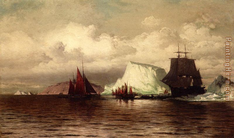 The Coast of Labrador i painting - William Bradford The Coast of Labrador i art painting